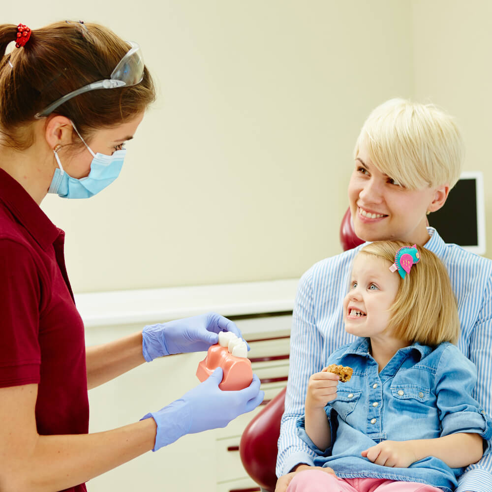 ○ Pediatric Dentist Teaching Child About Teeth